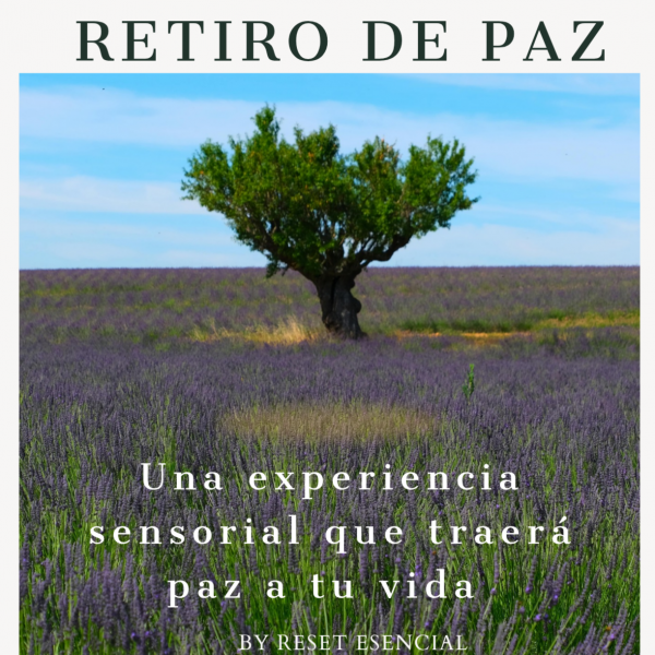 retiro de paz